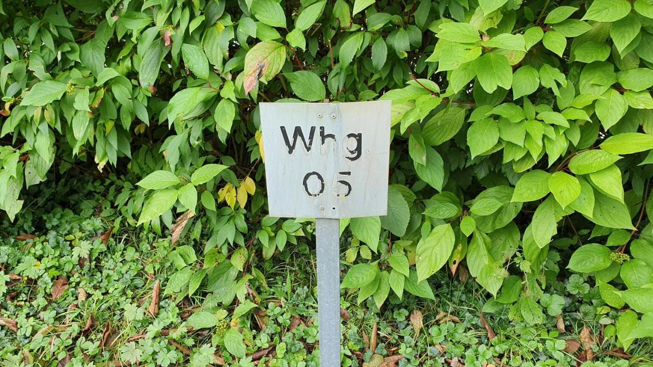 Ferienwohnung Fuer 5 Personen In Wasserburg Екстер'єр фото